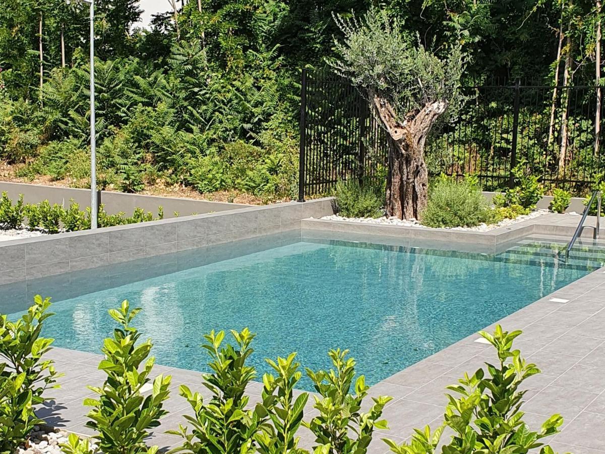 Bjelica Rental Apartments - Nela Apartment Tivat Zewnętrze zdjęcie